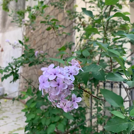 Hébergement de vacances Pirinas Meteora *