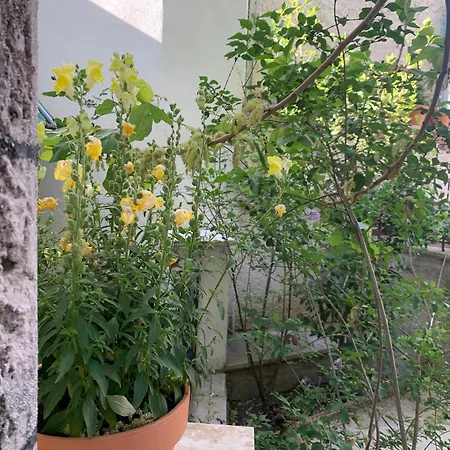 Дом отдыха Pirinas Meteora *