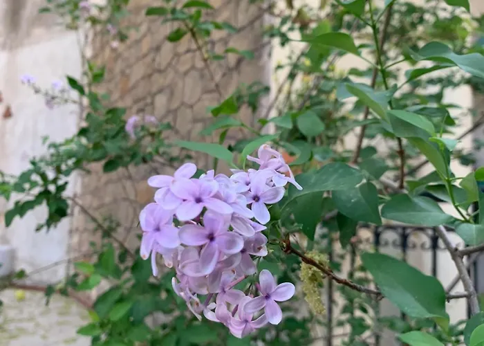 Holiday home Pirinas Meteora *