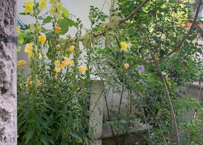 Hébergement de vacances Pirinas Meteora *